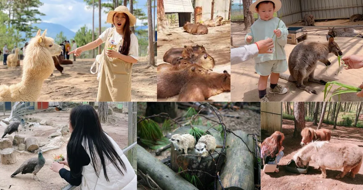  Tham quan và tìm hiểu các sinh vật đáng yêu