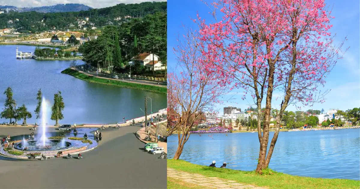 Cảnh đẹp ở Hồ Xuân Hương