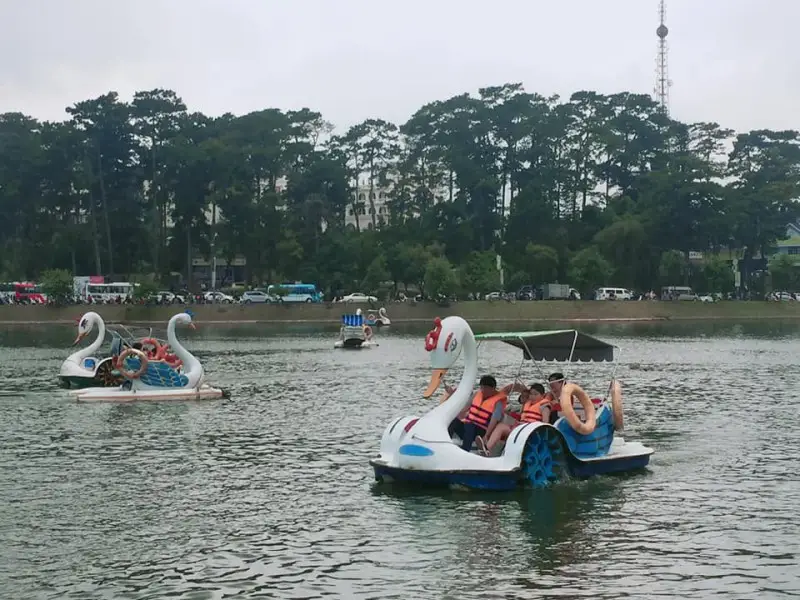 Đạp vịt