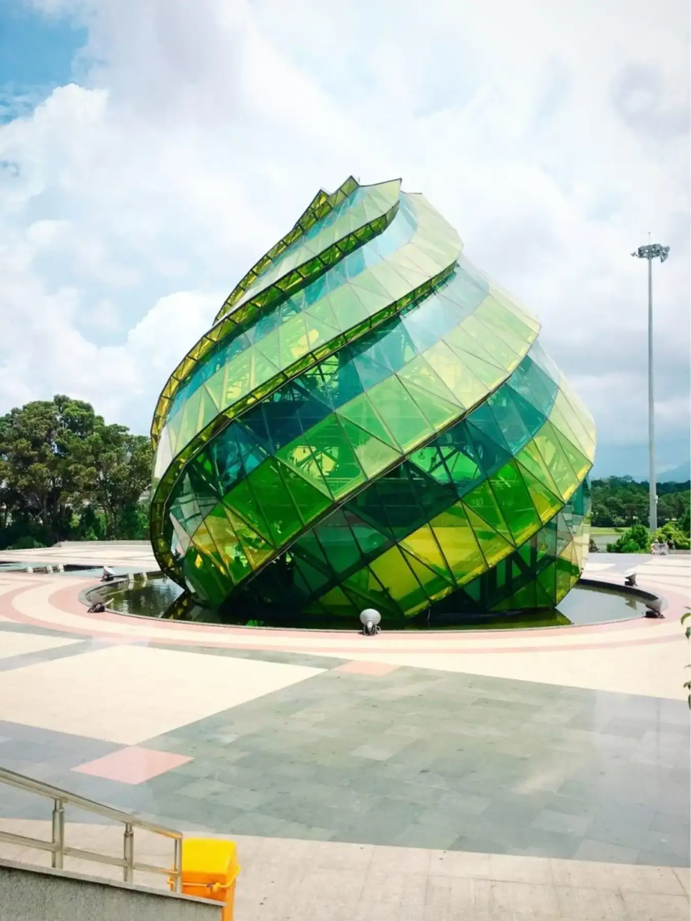 Nụ hoa Atiso khổng lồ
