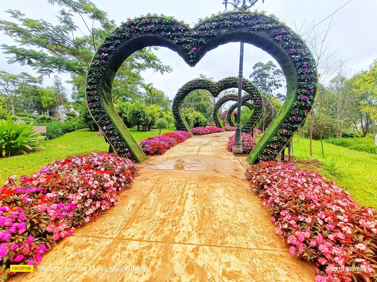 vườn hoa Đà Lạt