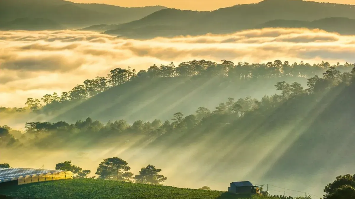 Giới thiệu về đồi Du Sinh