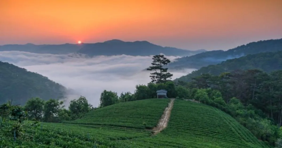 Mùa nào đẹp nhất để tham quan đồi Du Sinh ?