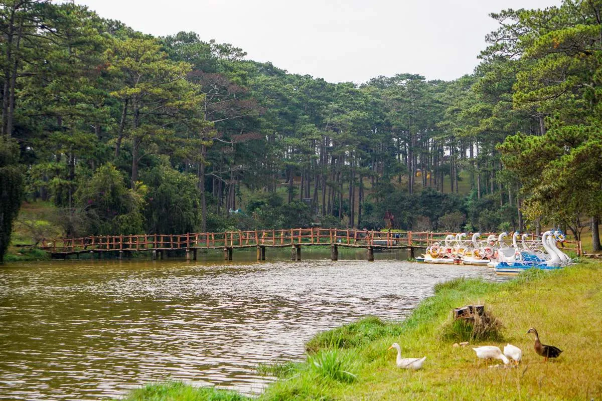 Khung cảnh thiên nhiên thơ mộng và hữu tình
