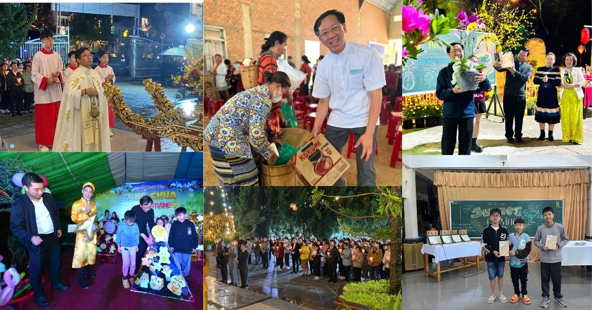 Các hoạt động diễn ra thường xuyên tại nhà thờ Thánh Tâm