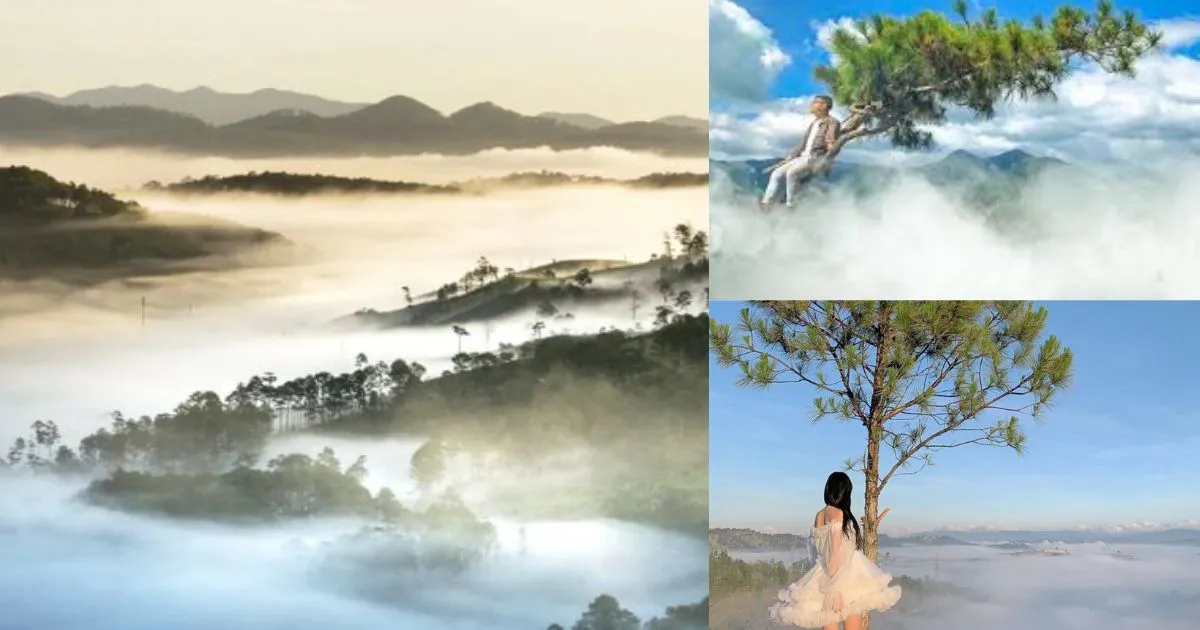 Trải nghiệm săn mây tuyệt đẹp