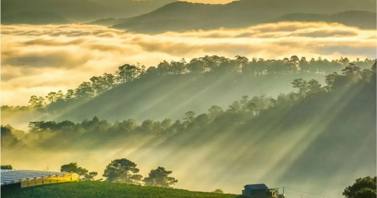 Mùa nào đẹp để săn mây ở Trại Mát?