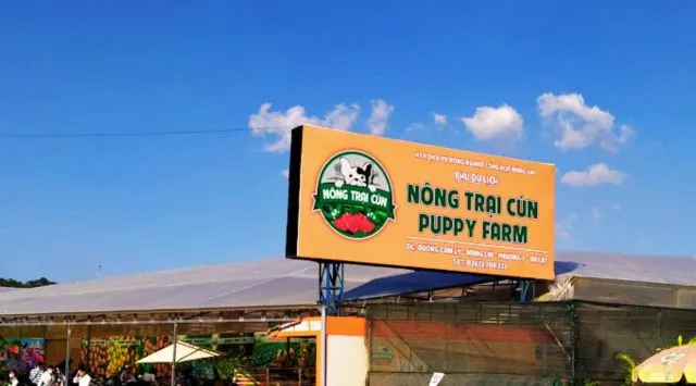 Giới thiệu đôi nét về Puppy Farm Đà Lạt