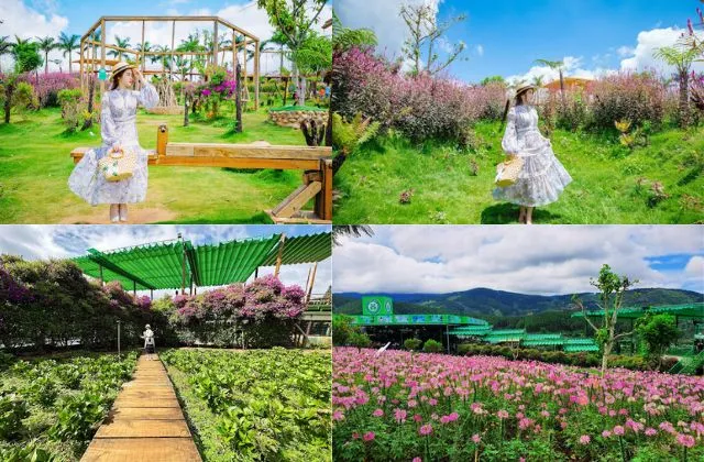 Khu chụp hình Mê Linh Coffee Garden