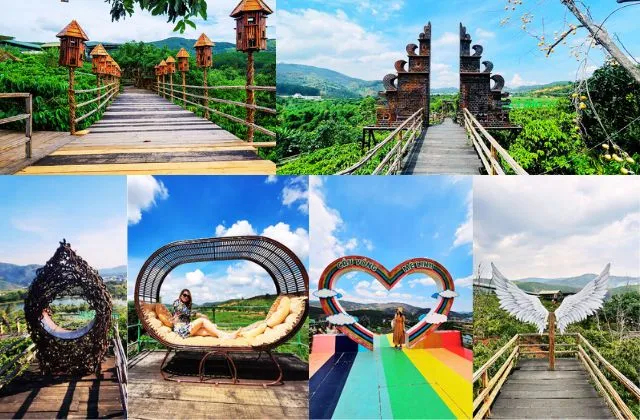 Các khu vực tiểu cảnh