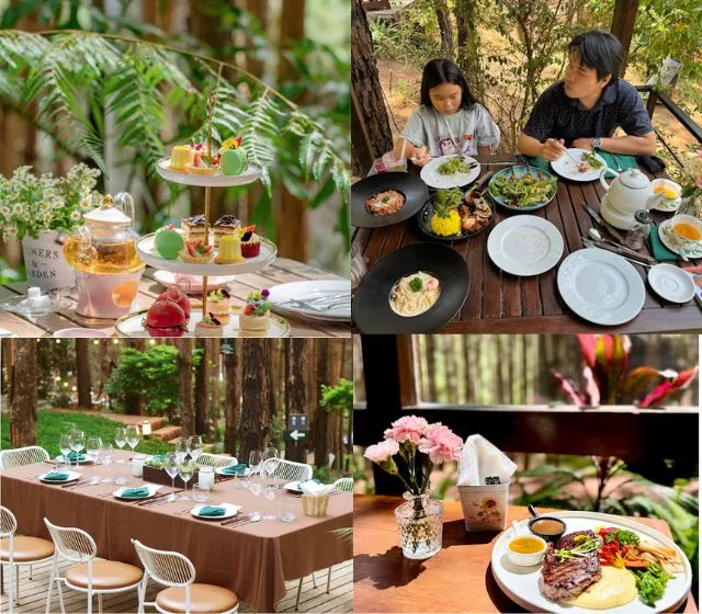 Rừng Thông Mơ Farm & Bistro