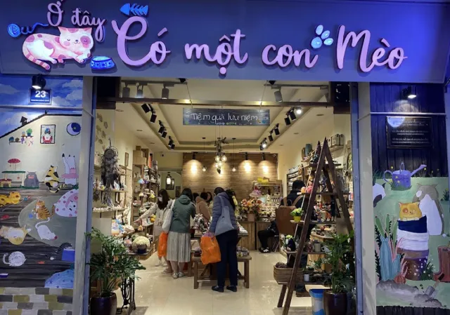 Ở đây có một con mèo