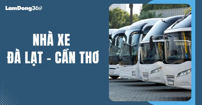 Nhà xe Đà Lạt - Cần Thơ: Địa chỉ, SĐT, giá vé năm 2025