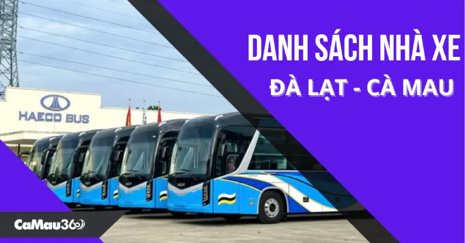 Nhà xe Đà Lạt - Cà Mau: SĐT, Địa chỉ, Giá vé năm 2025