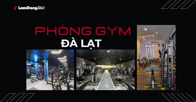 Khám phá 5 phòng gym Đà Lạt được hội gymer yêu thích 2025