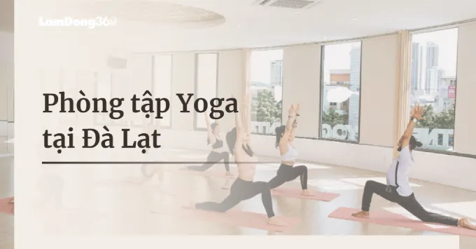 Review 5 phòng tập Yoga ở Đà Lạt được yêu thích năm 2025