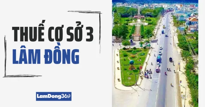 Trụ sở, Địa bàn quản lý của Thuế cơ sở 3 tỉnh Lâm Đồng 2025