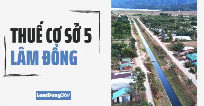 Trụ sở, Địa bàn quản lý của Thuế cơ sở 5 tỉnh Lâm Đồng 2025