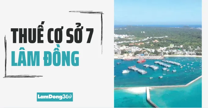 Trụ sở, Địa bàn quản lý của Thuế cơ sở 7 tỉnh Lâm Đồng 2025