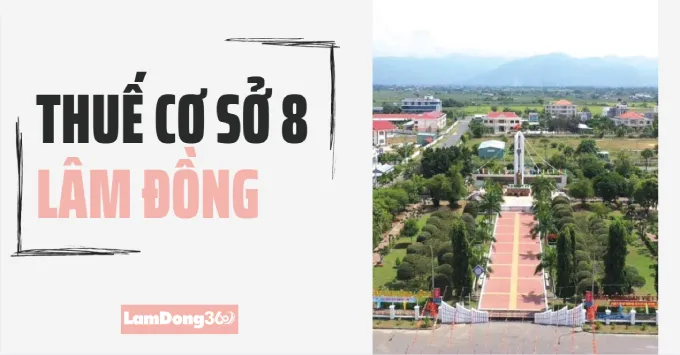 Trụ sở, Địa bàn quản lý của Thuế cơ sở 8 tỉnh Lâm Đồng 2025