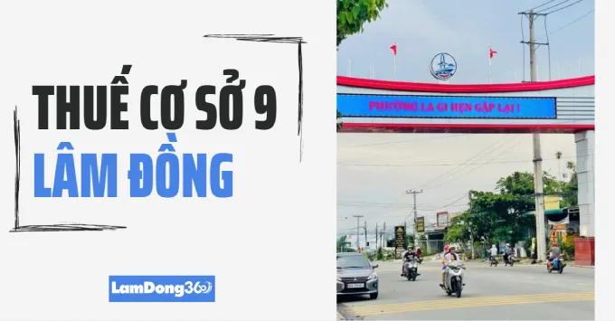 Trụ sở, Địa bàn quản lý của Thuế cơ sở 9 tỉnh Lâm Đồng 2025