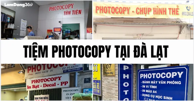 Top 5+ tiệm photocopy tại Đà Lạt giá rẻ, uy tín năm 2026