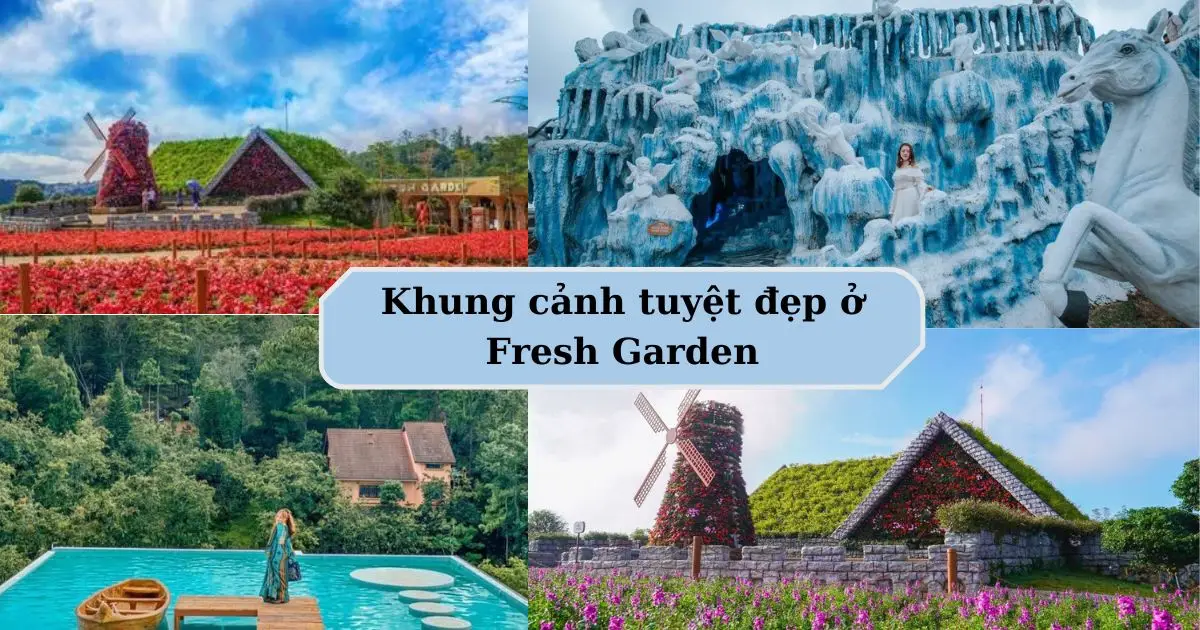 Tại sao Fresh Garden lại hot đến vậy?