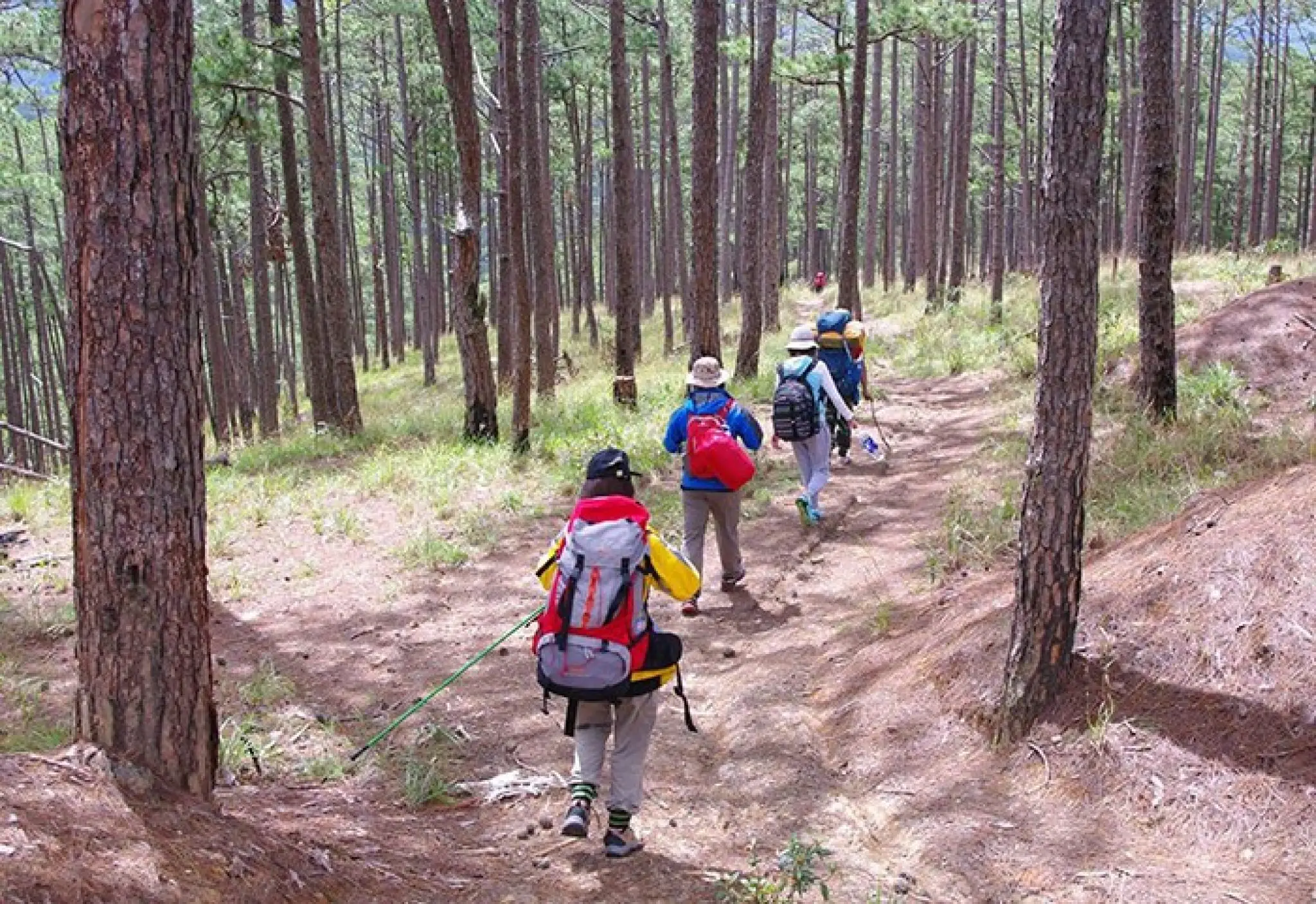 Trekking Núi Langbiang - Thử Thách Và Khám Phá