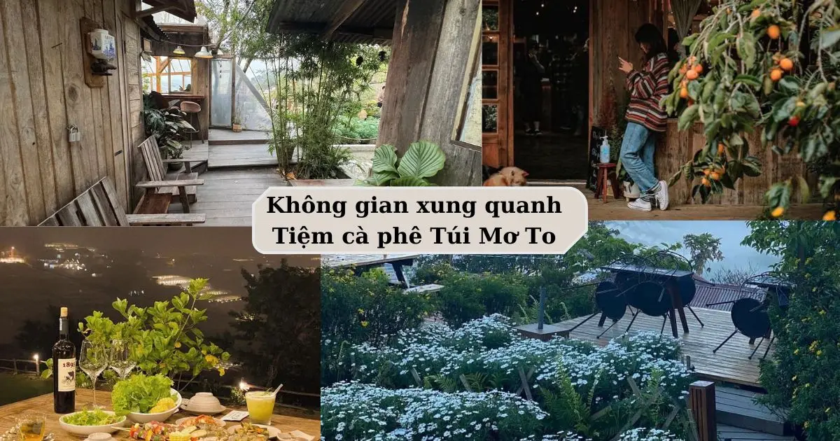 Không gian Tiệm cà phê Túi Mơ To